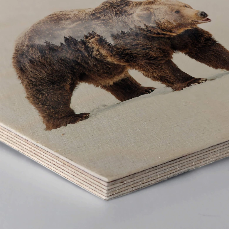Hexagon - Holz Birke-Furnier - Beáta - Der Bär 