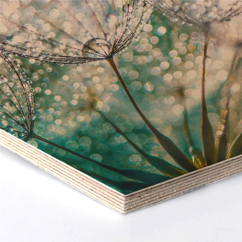 Hexagone - Placage bois de bouleau Delgado - Pissenlit scintillant 