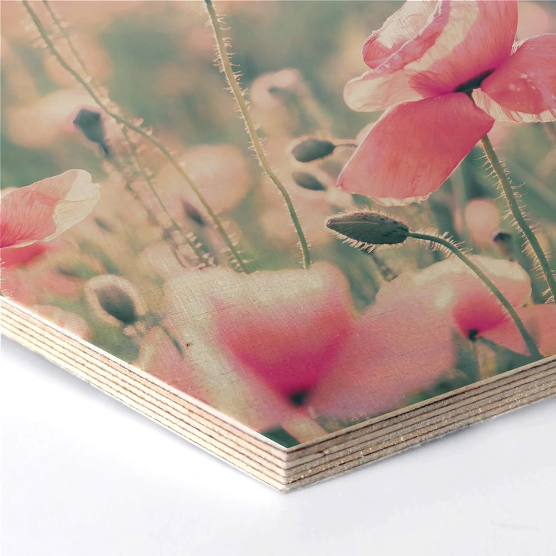 Hexagon - Holz Birke-Furnier Delgado - Mohnblumenmomente 