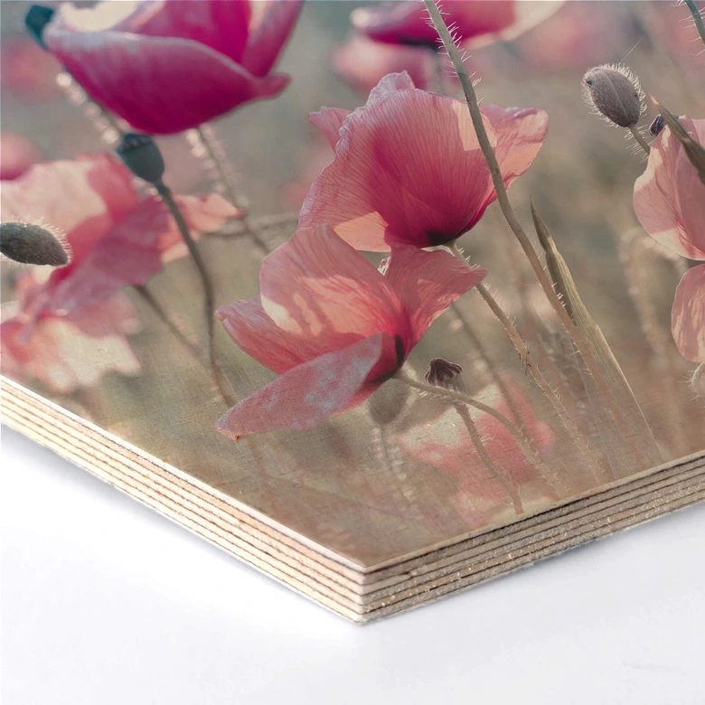 Hexagon - Holz Birke-Furnier Delgado - Mohnblumenwiese 