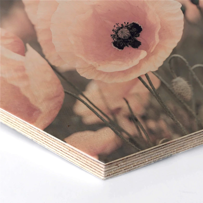 Esagoni in legno Delgado - Papavero rosa 