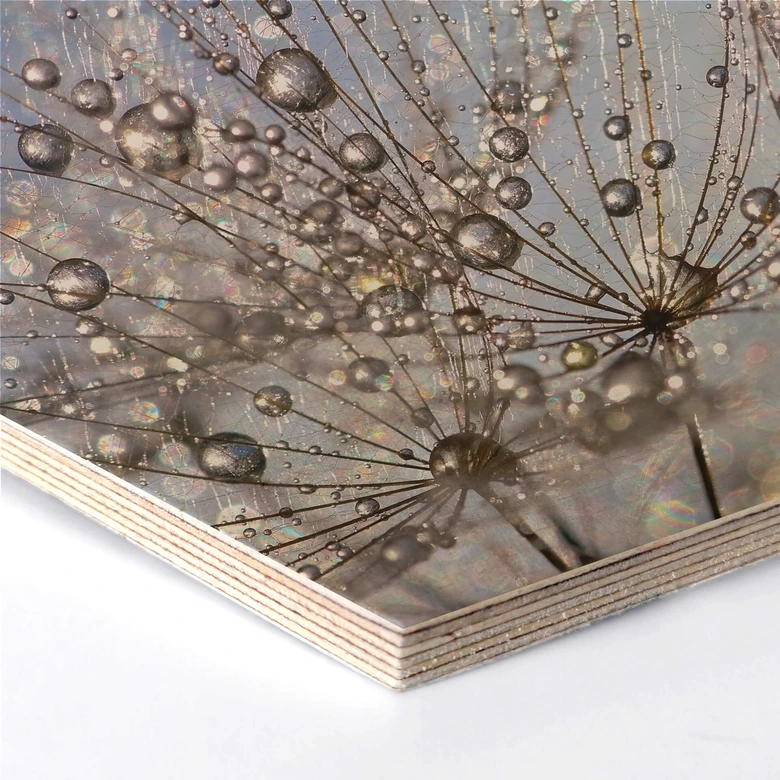 Hexagon Berkenfineer Delgado - Waterdrop Dandelion 