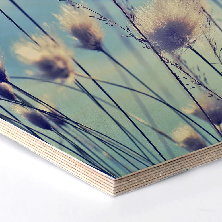Hexagon - Holz Birke-Furnier Delgado - Wind im Gras 