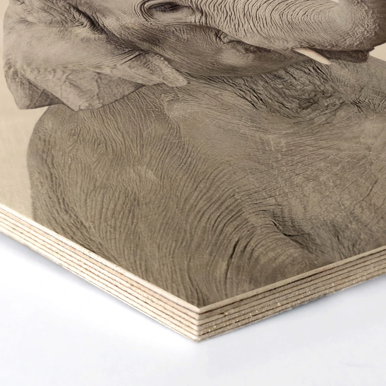 Hexagon - Holz Birke-Furnier Sisi & Seb - Baby Elefant 