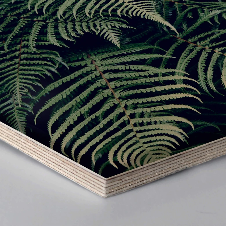 Hexagon - Holz Birke-Furnier - Farn 02 