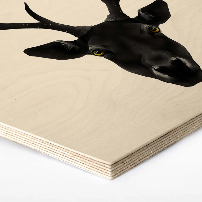 Hexagon - Holz Birke-Furnier Ireland - The Black Deer 
