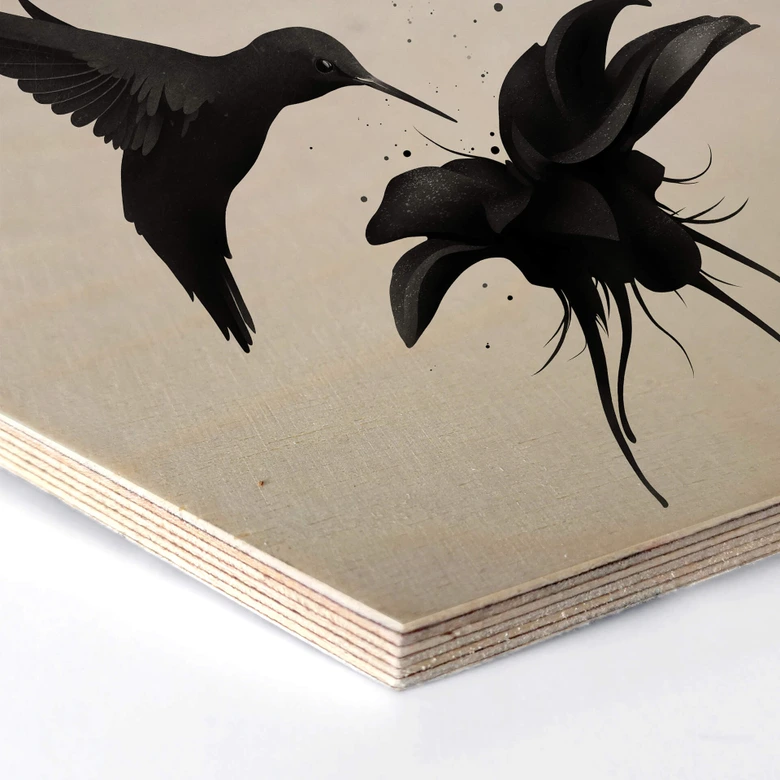 Hexagon Hout Ireland - Kolibrie 