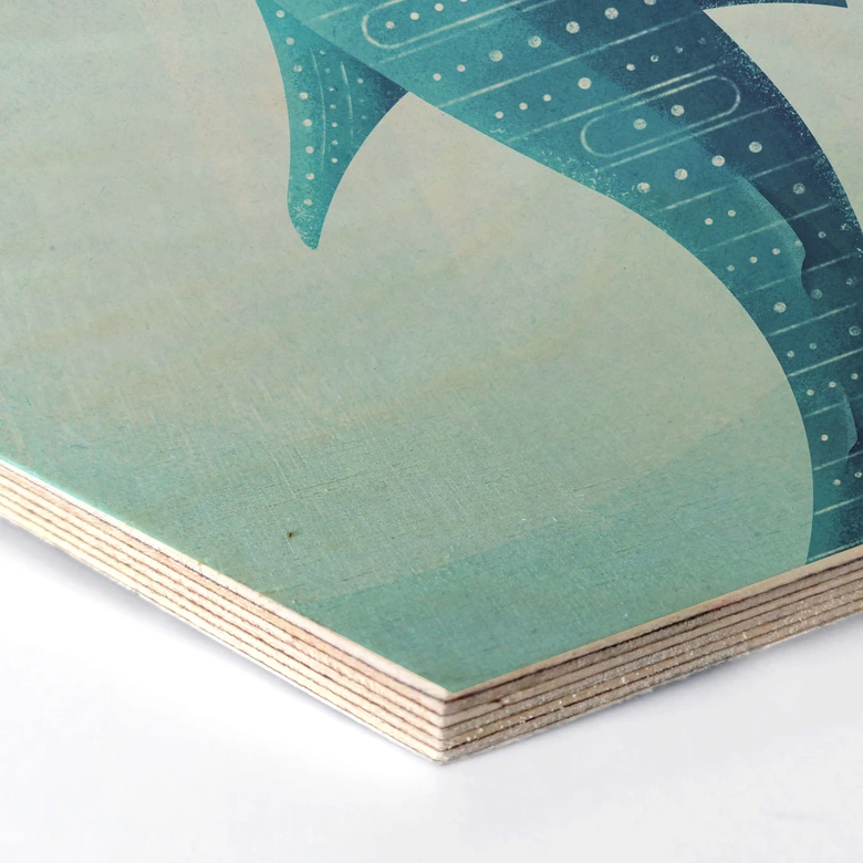 Hexagon - Holz Birke-Furnier Rivers - Der Walhai 