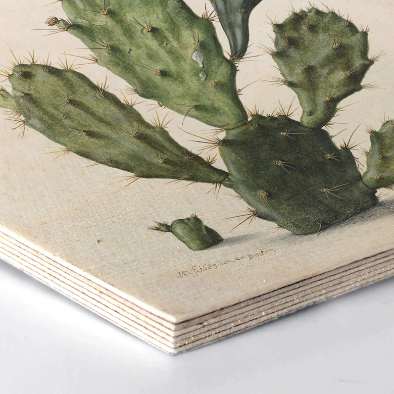 Hexagon Hout Saftleven - Cactus 