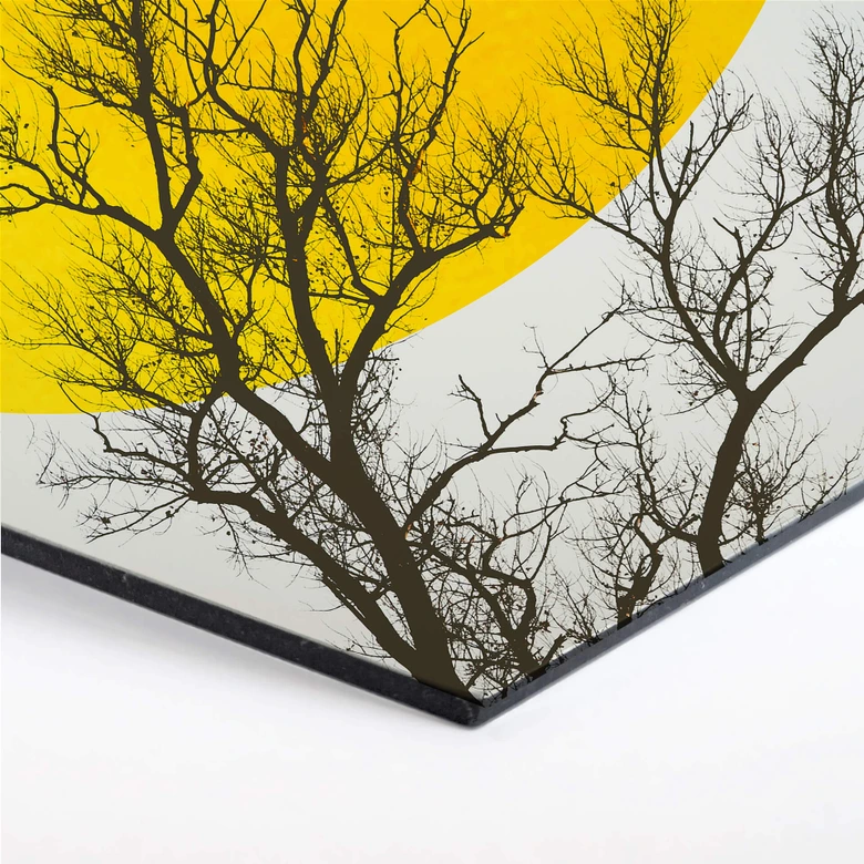 Hexagon - Alu-Dibond - Kubistika - Efterårsminder 