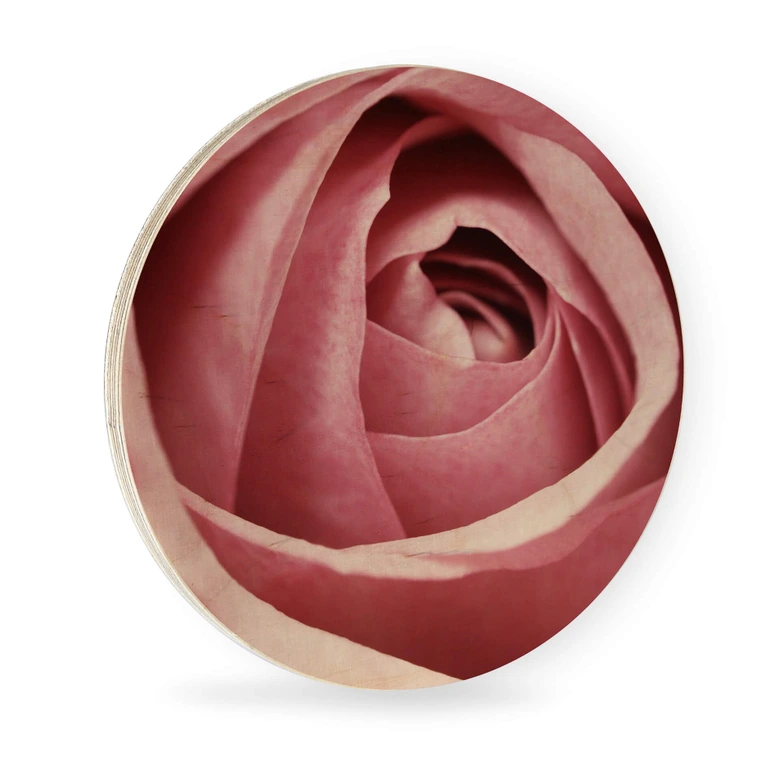 Holzbild Die rosa Rose - Rund 