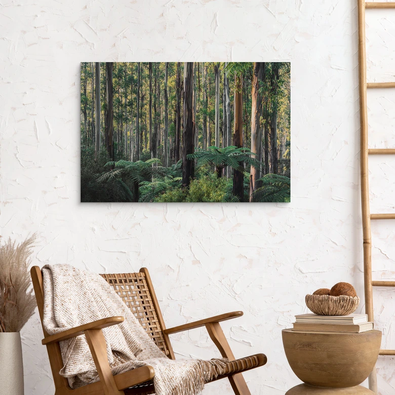 Holzbild Eukalyptuswald in den Yarra Ranges - Colombo 