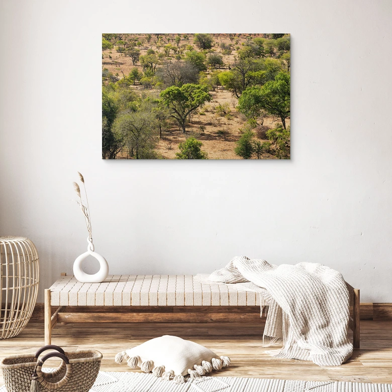 Tableau sur bois Paysage de savane en Afrique - Hugonnard 