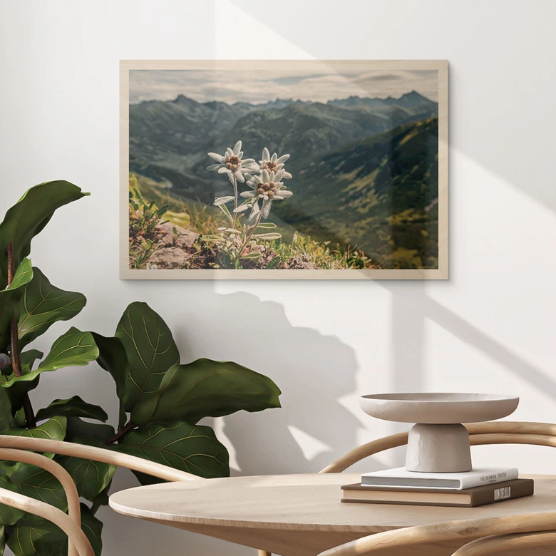 Holzbild Weißer Alpen-Edelweiß auf dem Berg 