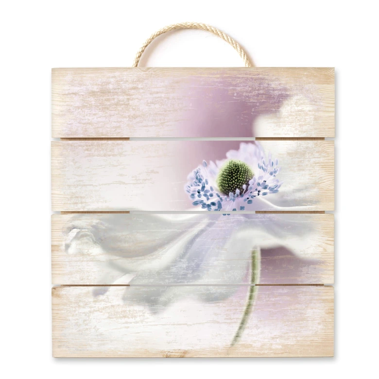 Holzbild Disher - Anemone Breeze - 40x41,5 cm 