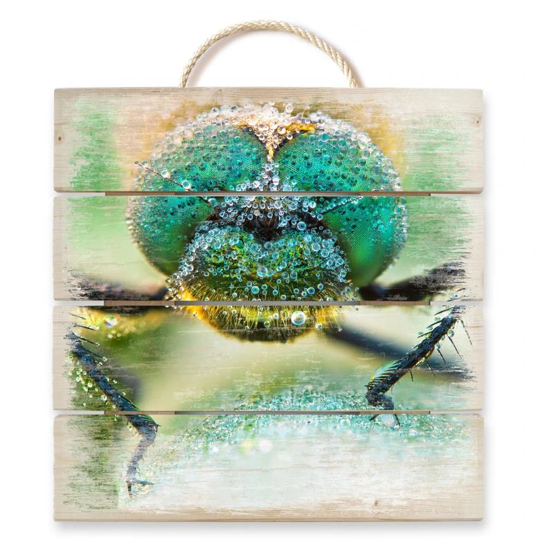 Cuadro de madera Sabol - Rocío matinal - 40x41,5 cm 