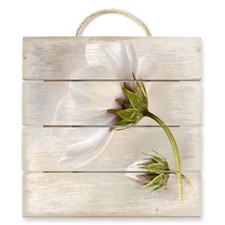 Holzbild Disher - Cosmos - 40x41,5 cm 