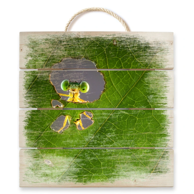 Holzbild Wilianto - Hello little Friend - 40x41,5 cm 