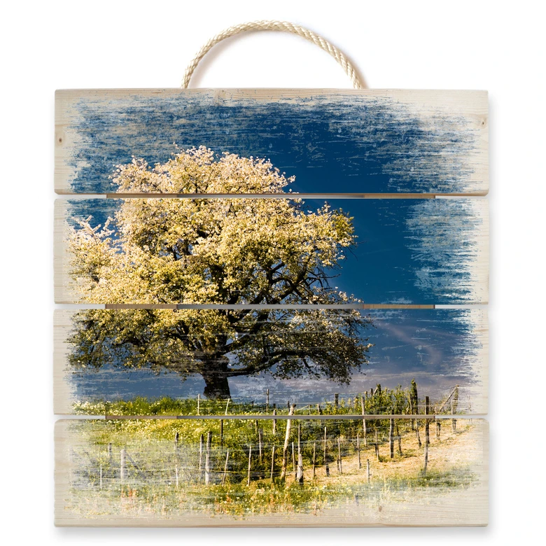 Holzbild Blütenpracht im April - 40x41,5 cm 