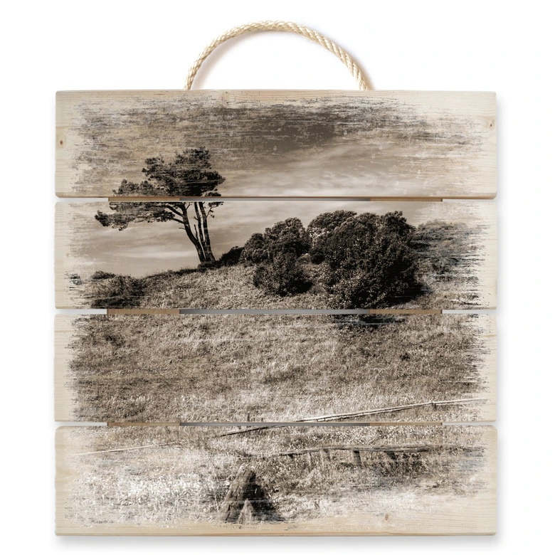 Holzbild Landschaft auf Hiddensee - 40x41,5 cm 