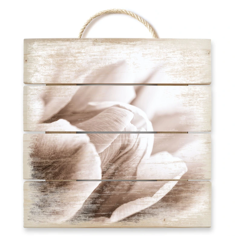 Holzbild Tulpe im Detail - 40x41,5 cm 