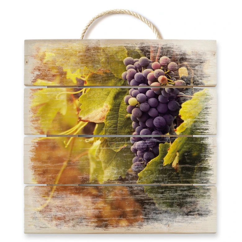 Holzbild Toskanische Weinrebe - 40x41,5 cm 