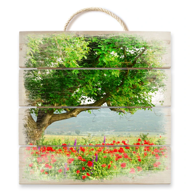 Holzbild Sommererwachen - 40x41,5 cm 