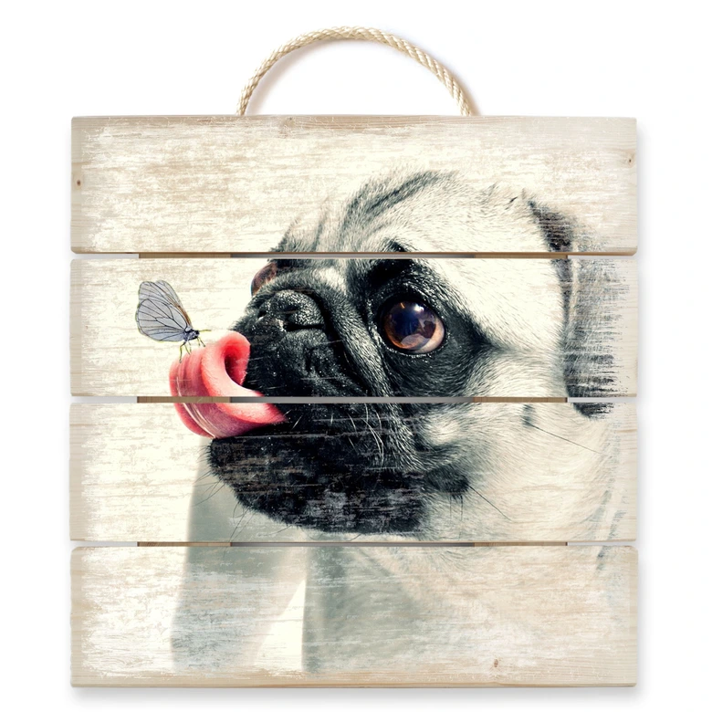 Holzbild Tierische Zuneigung - 40x41,5 cm 