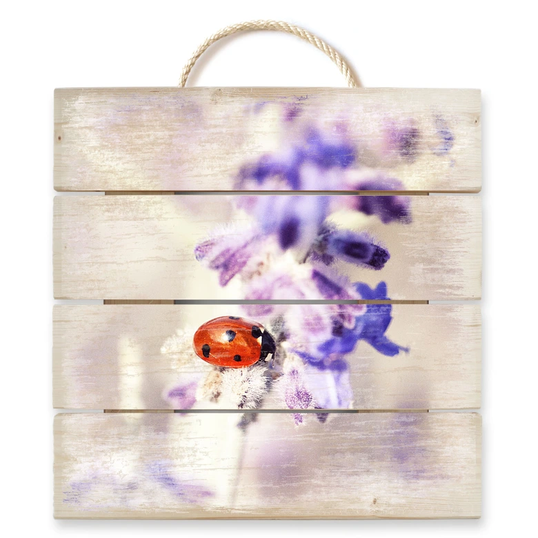 Holzbild Little Friend - 40x41,5 cm 