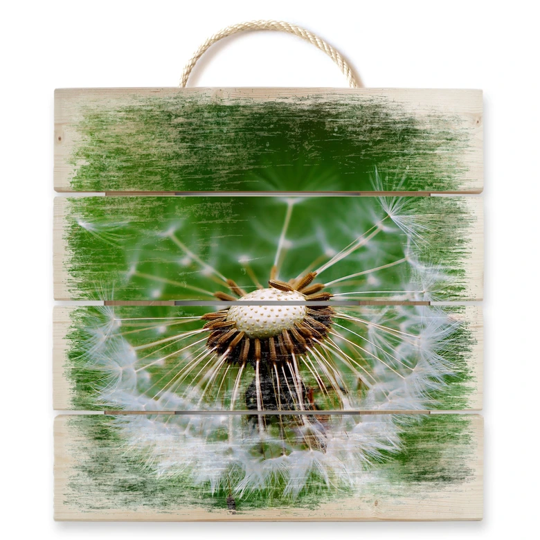 Holzbild Pusteblume im Wind - 40x41,5 cm 