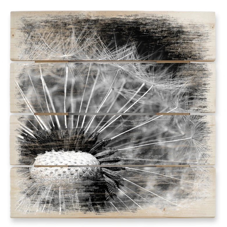 Holzbild Dandelion - 40x41,5 cm 
