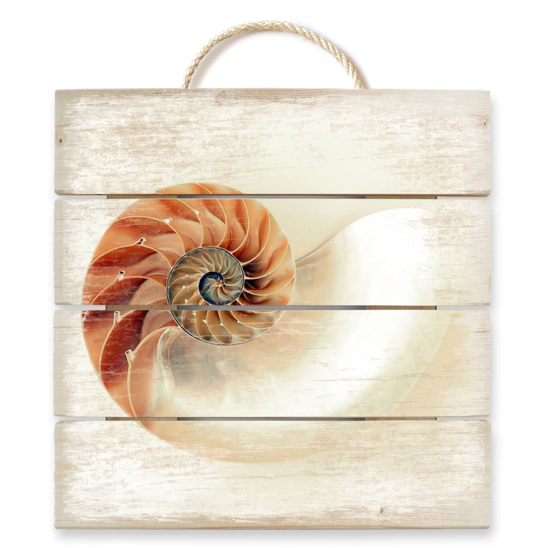 Holzbild Nautilus - 40x41,5 cm 
