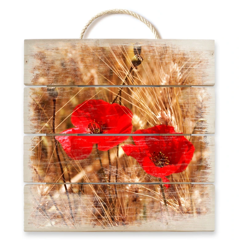 Holzbild Mohnblüten im Feld - 40x41,5 cm 