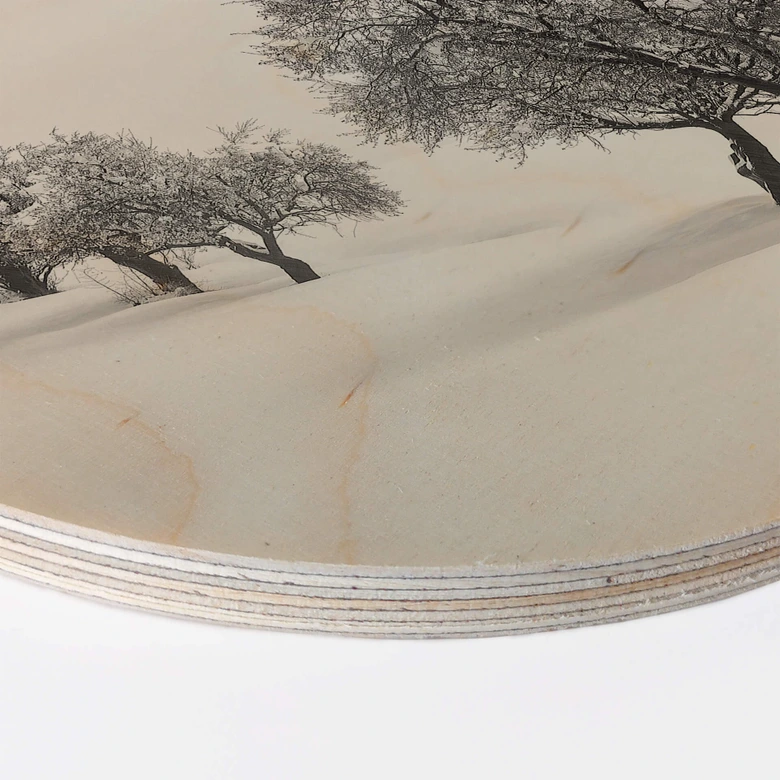 Holzbild Carrillo Lopez - Weiße Landschaft - Rund 