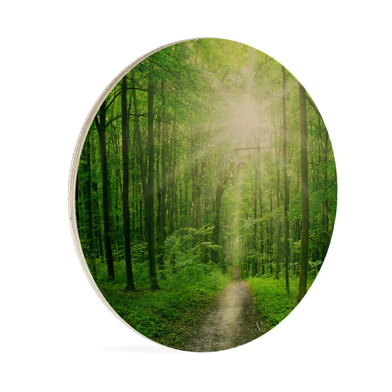 Holzbild - Sunny forest - Rund 