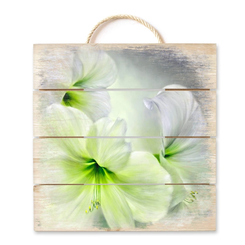Cuadro de madera Schmucker - Amarilis blanca - 40x41,5 cm 