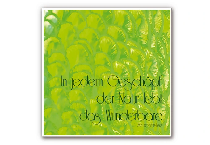 Wandbild In jedem Geschöpf der Natur (2-teilig) 