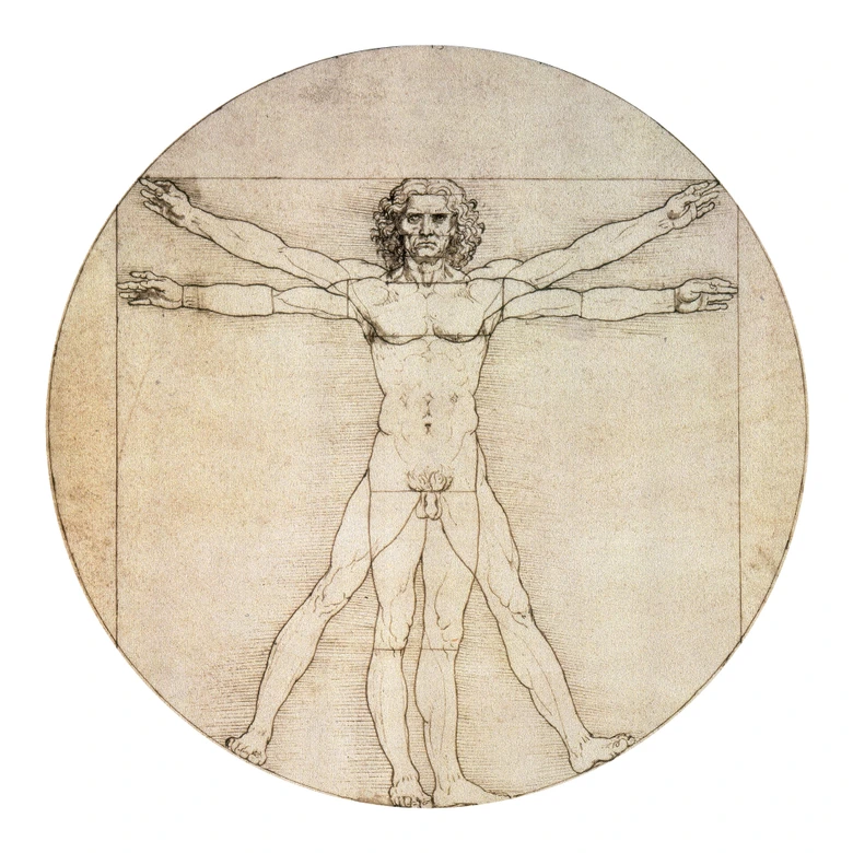 Wandtattoo Da Vinci - Proportionszeichnung - Rund 