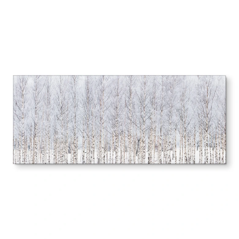 Küchenrückwand mit Natur-Motiv Birkenwald im Winter - EMELIEmaria 