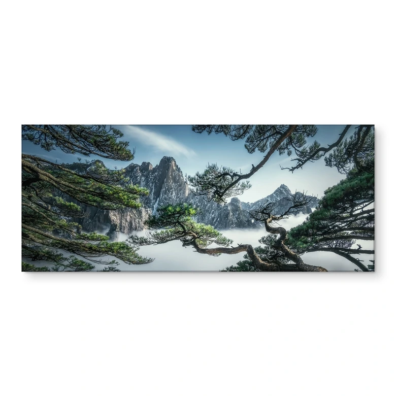 Küchenrückwand Kiefernwald im Huang Shan Gebirge - NingYun Ye 
