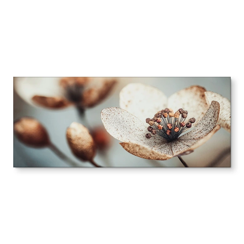 Küchenrückwand Boho Trockenblume Makro - Treechild 
