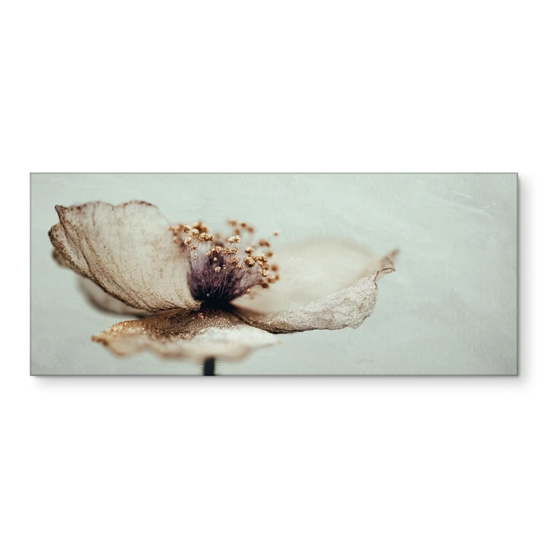 Küchenrückwand Zarte Trockenblüte in Beige - Treechild 