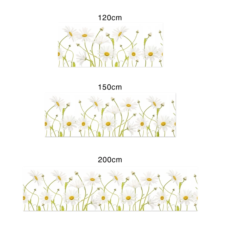Küchenrückwand - Alu-Dibond - Disher - Ox eye Daisies 