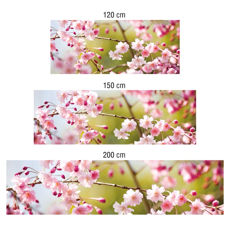 Küchenrückwand - Alu-Dibond- Cherry Blossoms 
