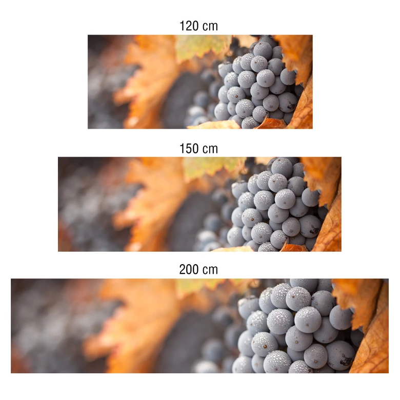 Keukenachterwand - Druiven in de herfst 