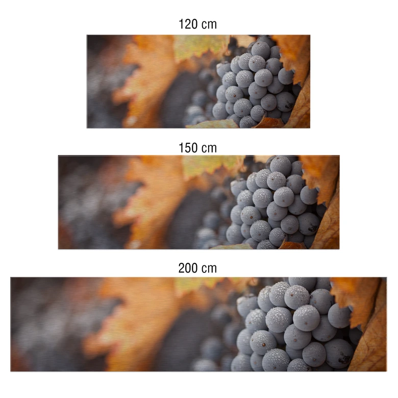 Revêtement pour cuisine - Alu-Dibond - Raisin en automne - Argenté 