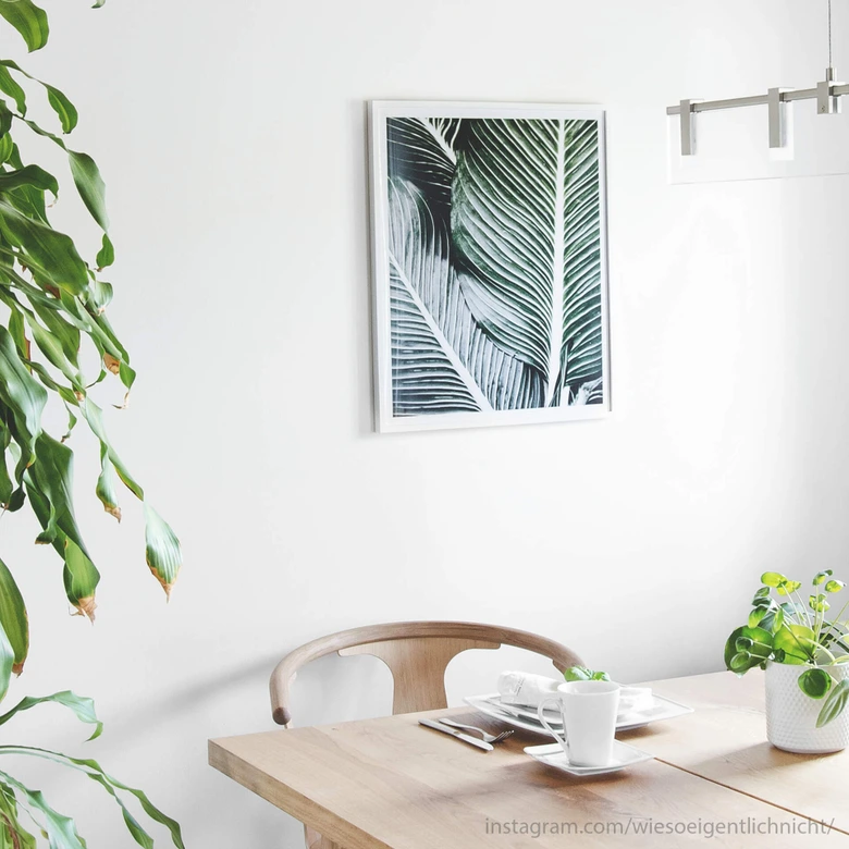 Poster Palm Tree Leaves 
