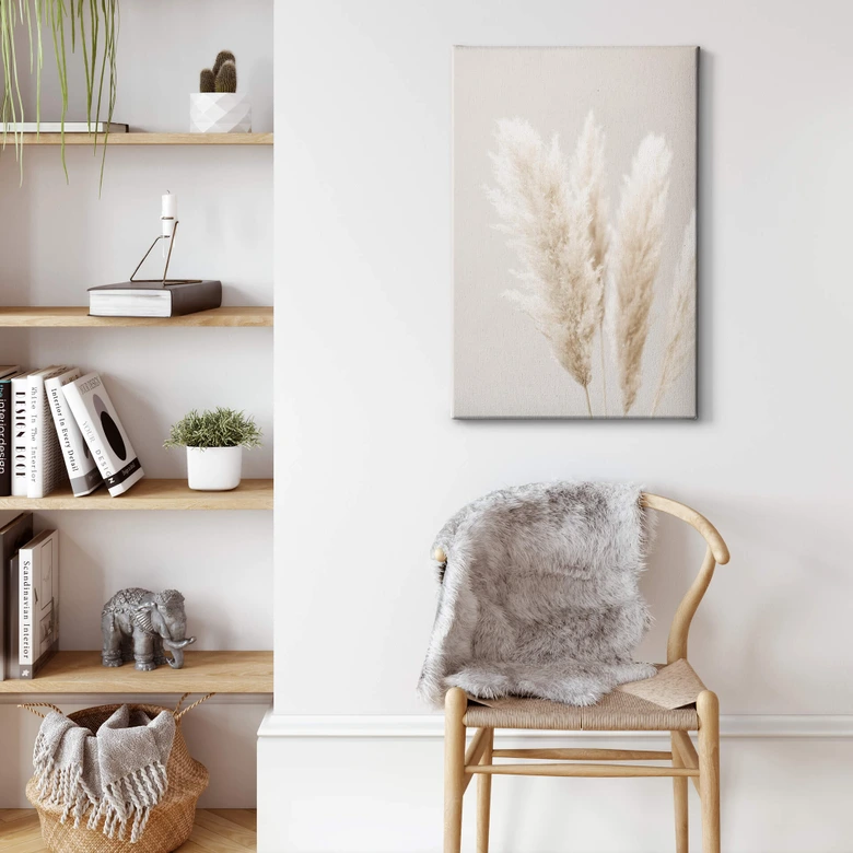 Canvas 1X Studio - Pampas 