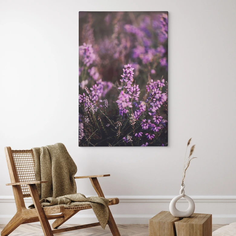 Leinwandbild Lila Heideblüte im warmen Licht - Annie 