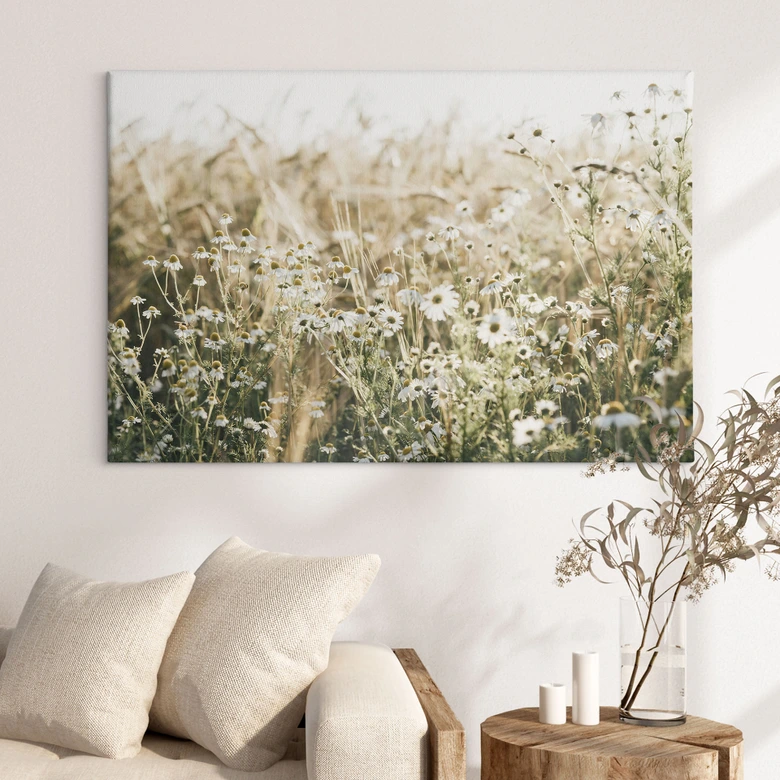 Leinwandbild Sommerwiese mit Kamille - Annie 